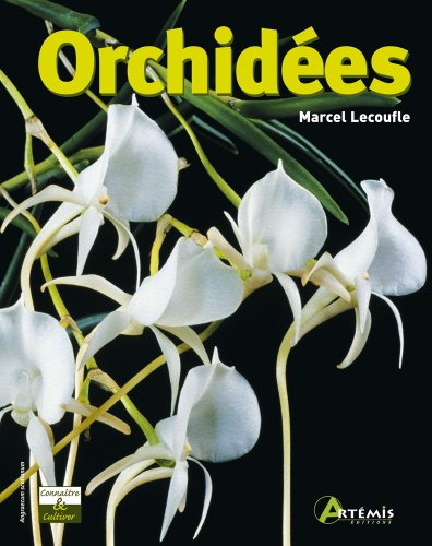 Orchidées
