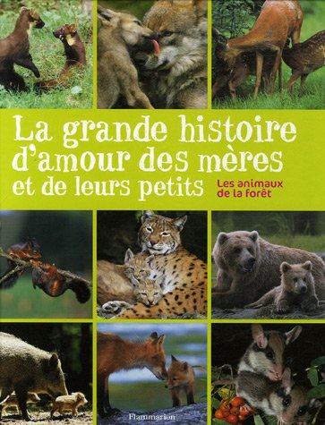 La grande histoire d'amour des mères et de leurs petits : les animaux de la forêt