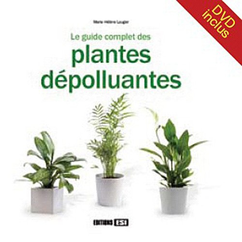 Le guide complet des plantes dépolluantes