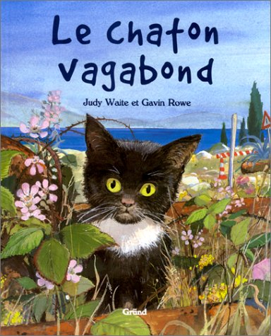 Le chaton vagabond