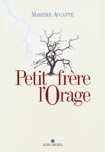Petit frère l'orage : récit