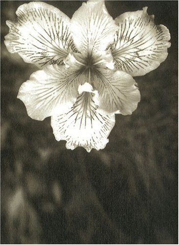 Life extreme : guide illustré de nouvelles formes de vies