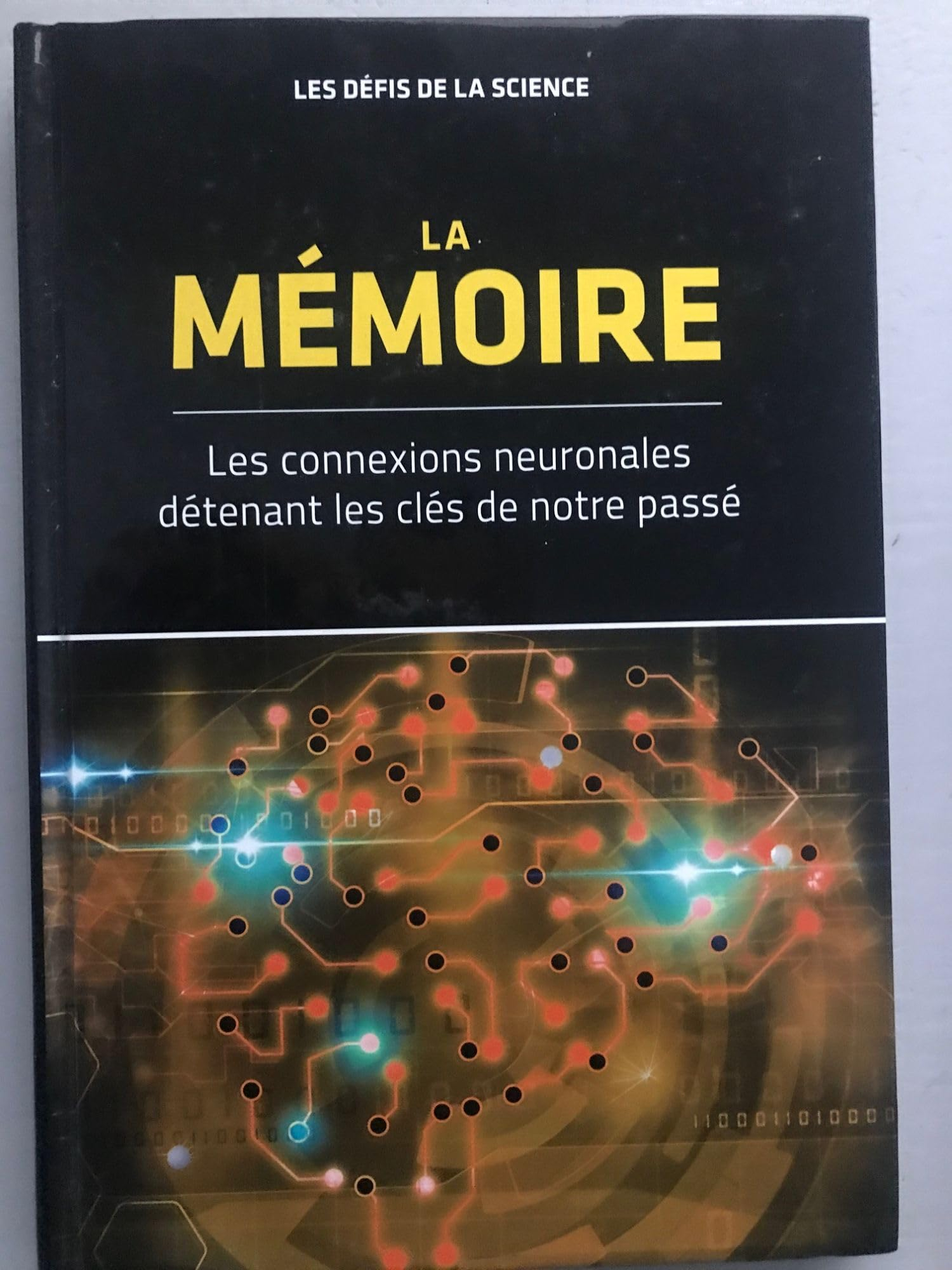La Memoire Les Connexions Neuronales Détenant les Clés de Notre Passé