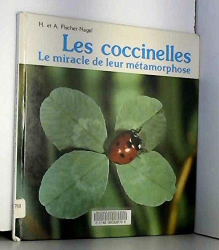 Les Coccinelles : le miracle de leur métamorphose