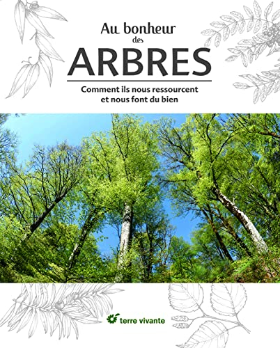 Au bonheur des arbres : comment ils nous ressourcent et nous font du bien