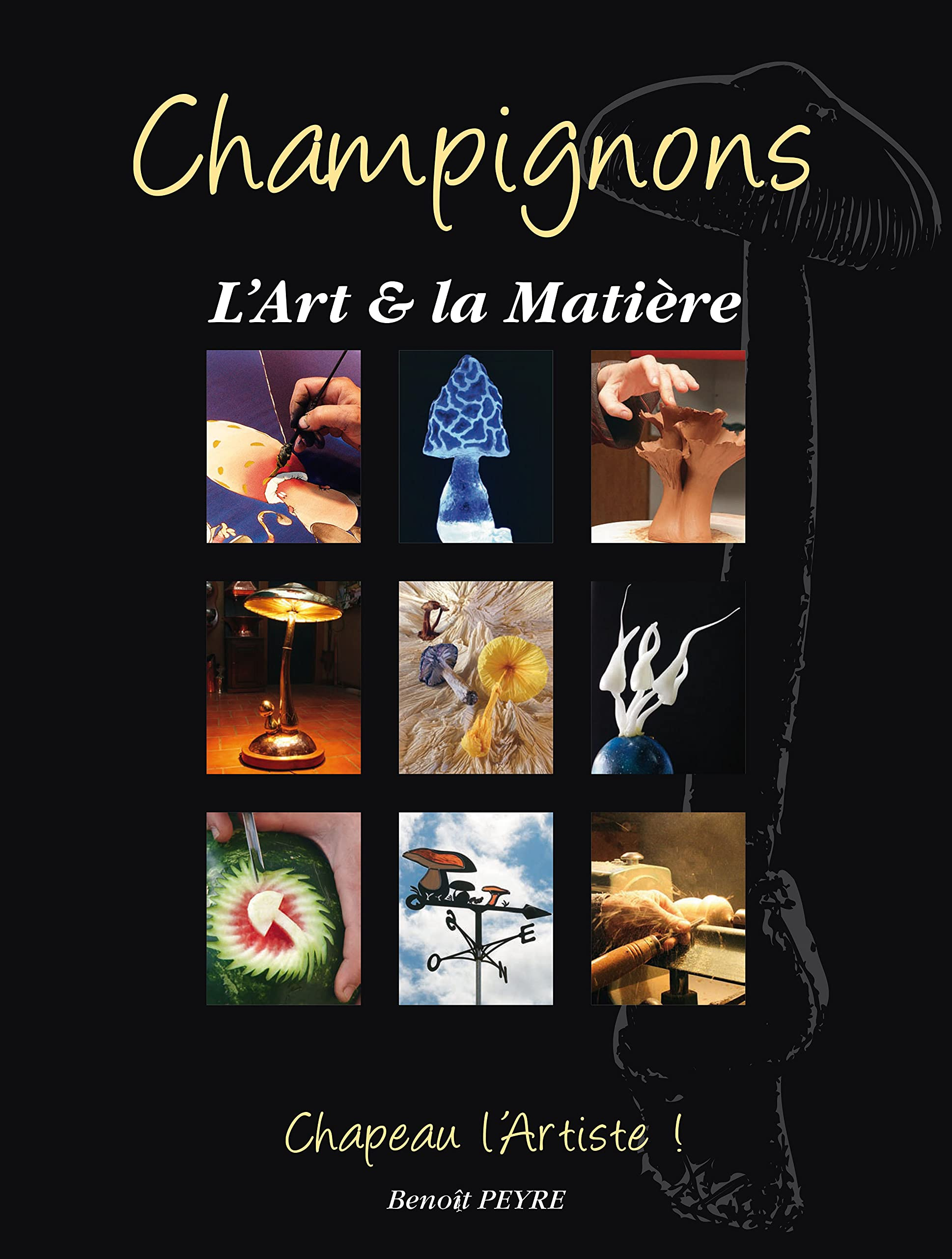 Champignons, l'art et la matière: Chapeau l'artiste !
