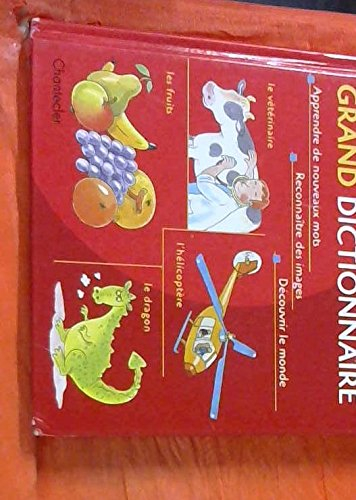 mon premier grand dictionnaire