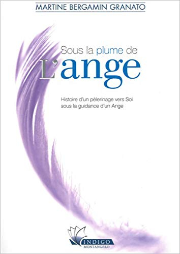 Sous la plume de l'ange : histoire d'un pèlerinage vers soi sous la guidance d'un ange
