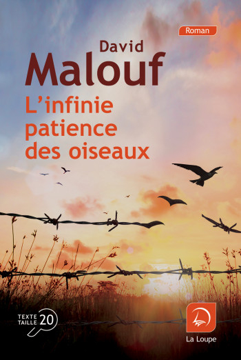 L'infinie patience des oiseaux