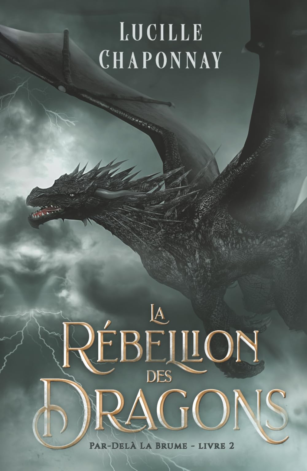 La Rébellion Des Dragons: Le dernier tome de la saga de Romantasy Slow Burn