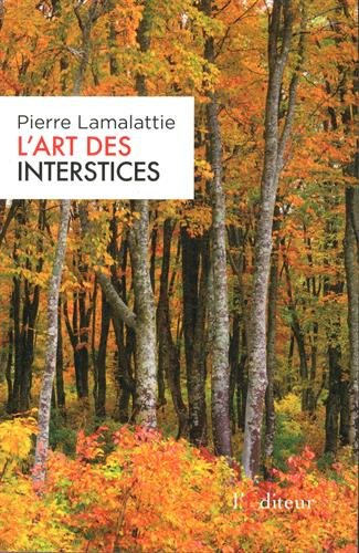 L'art des interstices