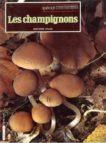 les champignons