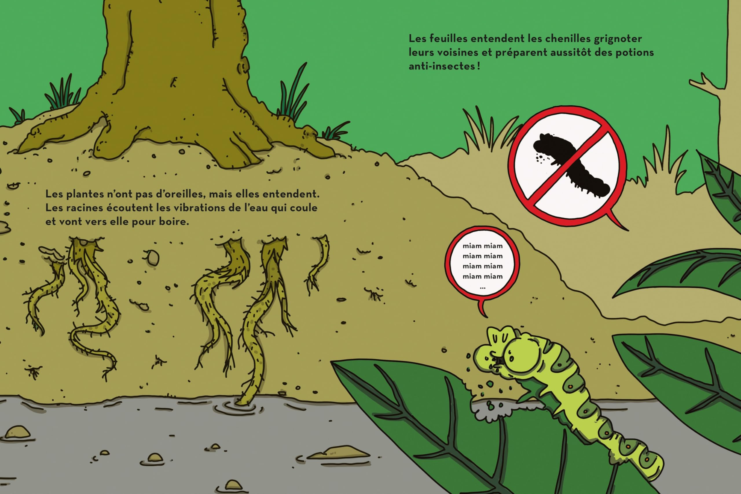 Génial végétal : les talents cachés des plantes