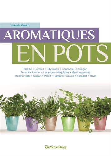 Aromatiques en pots