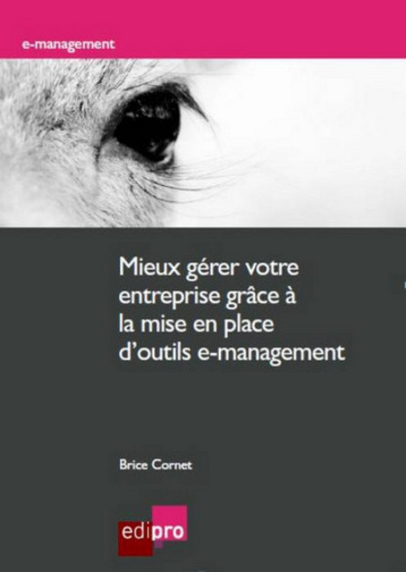 Mieux gérer votre entreprise grâce à la mise en place d'outils e-management : méthodologie, implémen