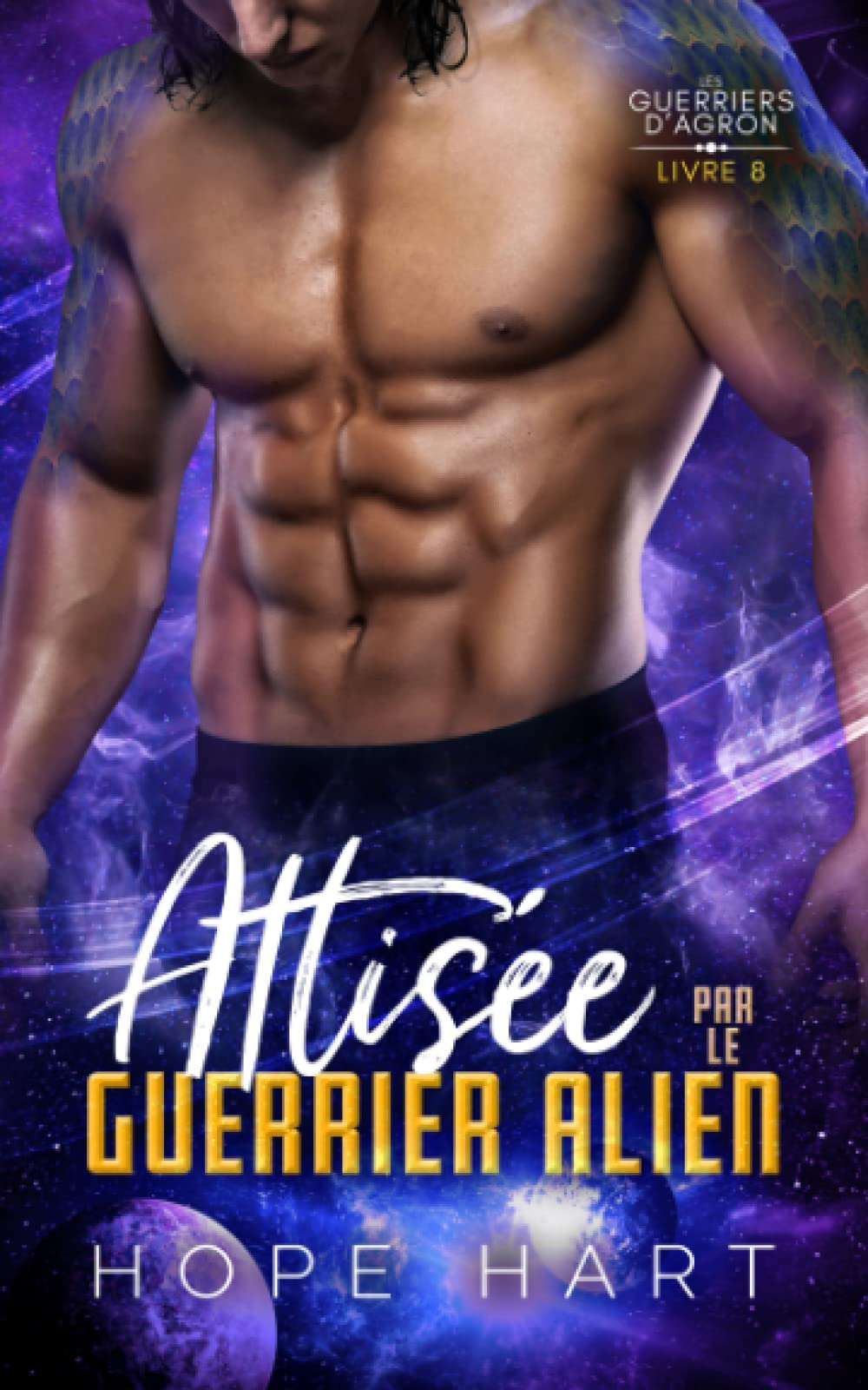 Attisée par le guerrier alien: Une romance de science-fiction extraterrestre