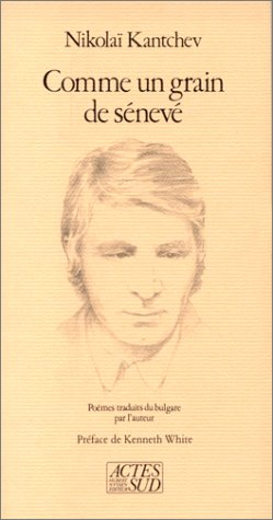 Comme un grain de sénevé