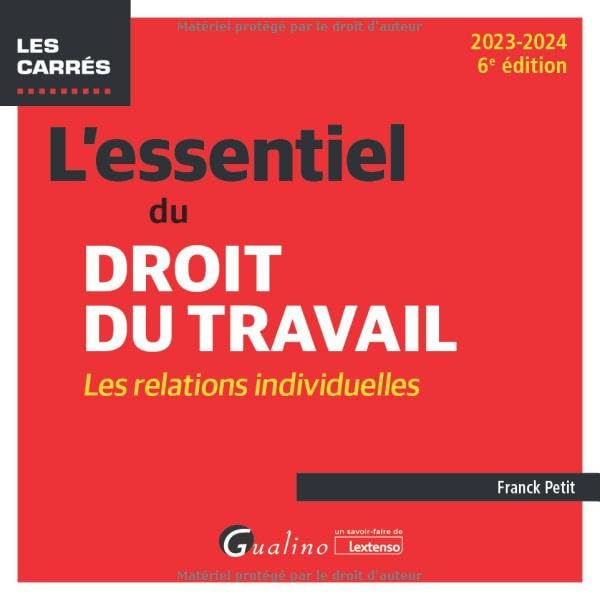 L'essentiel du droit du travail : les relations individuelles : 2023-2024