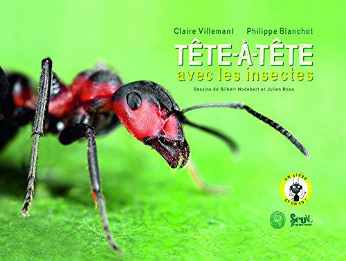 Tête-à-tête avec les insectes