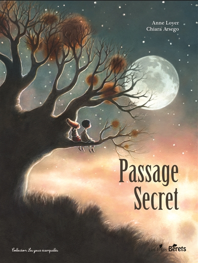 Passage Secret