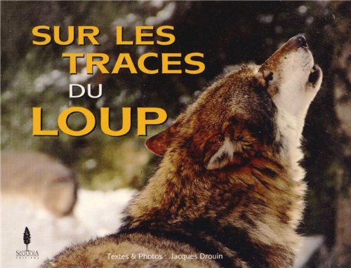 Sur les traces du loup