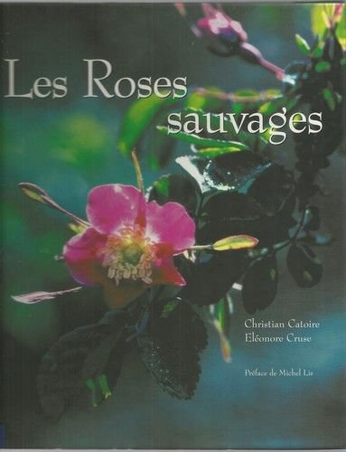 Les roses sauvages
