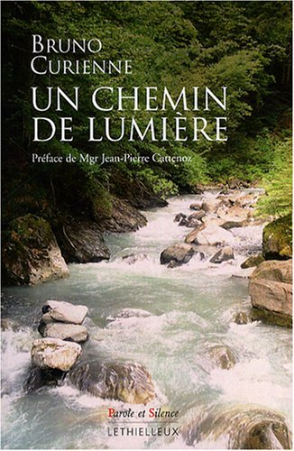 Un chemin de lumière : petite introduction à la vie mystique chrétienne
