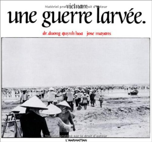 vietnam, une guerre larvée