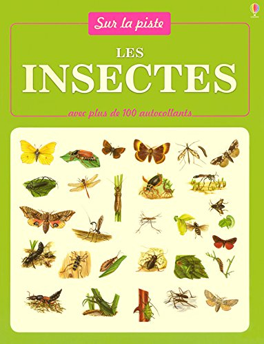 Les insectes