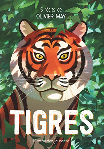 Tigres : 5 récits