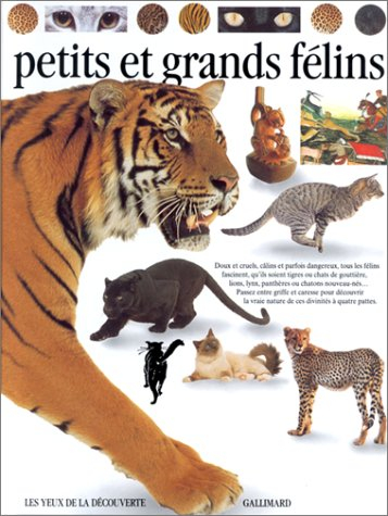 petits et grands félins