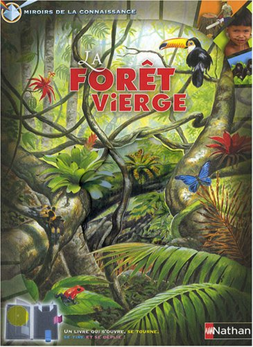 La forêt vierge, trésor de la planète