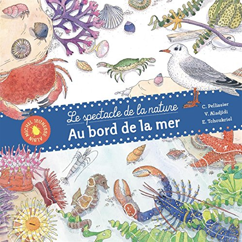 Le spectacle de la nature. Au bord de la mer