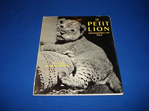 Le petit lion