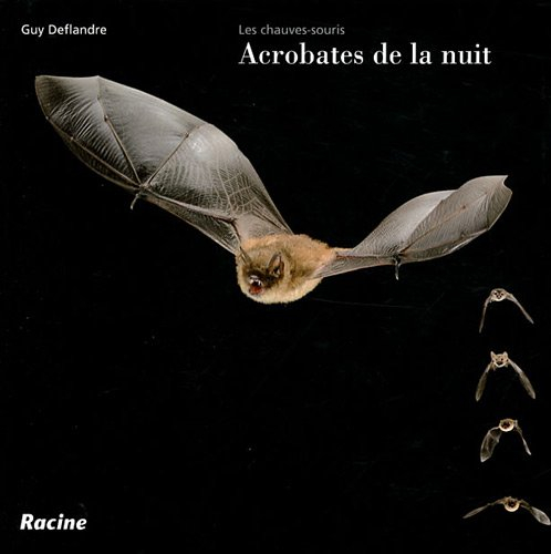 Les chauves-souris : acrobates de la nuit
