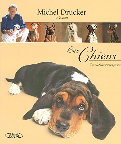 Les chiens : nos fidèles compagnons