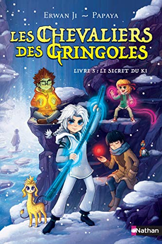 Les chevaliers des Gringoles. Vol. 3. Le secret du ki