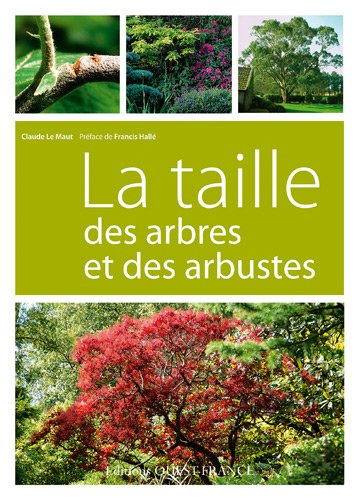 La taille des arbres et des arbustes