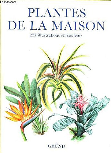 plantes de la maison