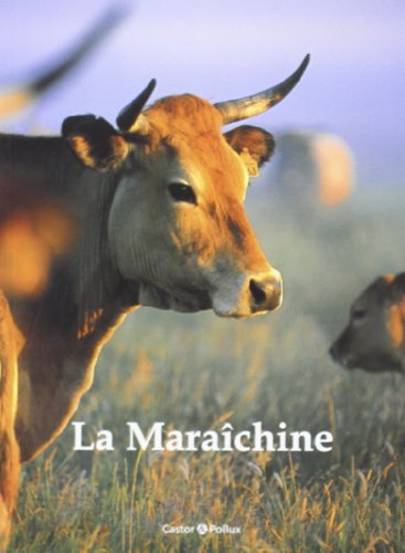 La maraîchine
