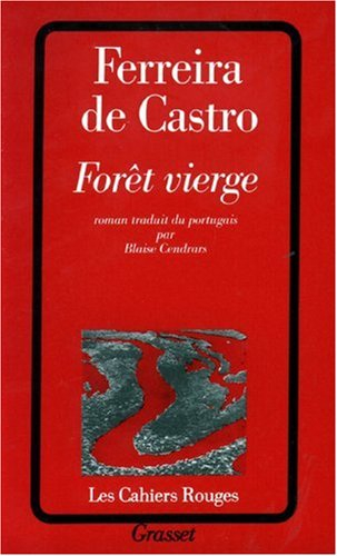 Forêt vierge