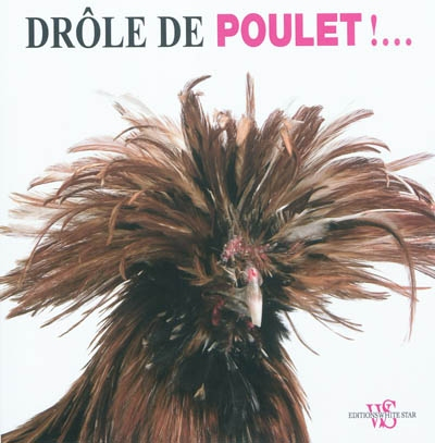 Drôle de poulet !...