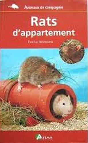 Rats d'appartement