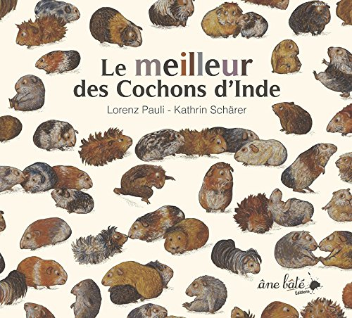 Le meilleur des cochons d'Inde