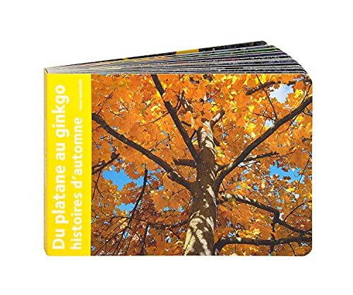 Du platane au gingko : histoires d'automne