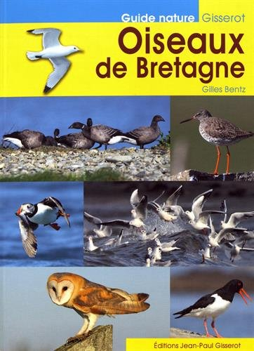 Oiseaux de Bretagne
