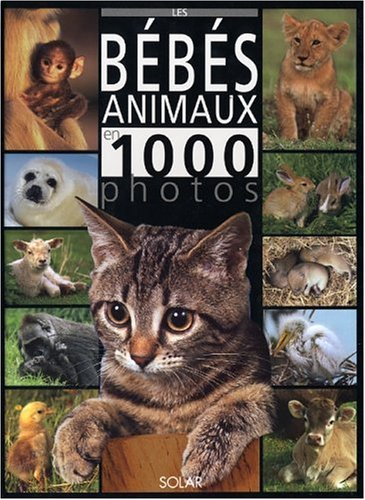 Les bébés animaux en 1.000 photos