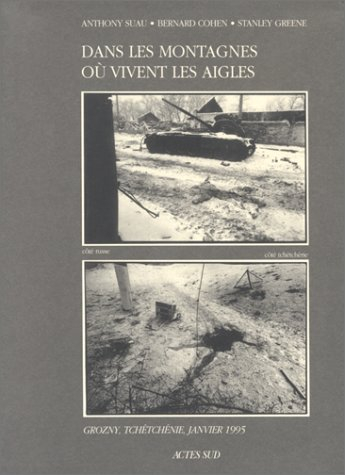 Dans les montagnes où vivent les aigles : Grozny, Tchétchénie, janvier 1995