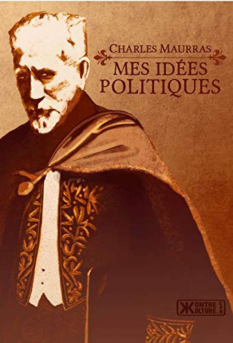 Mes idées politiques