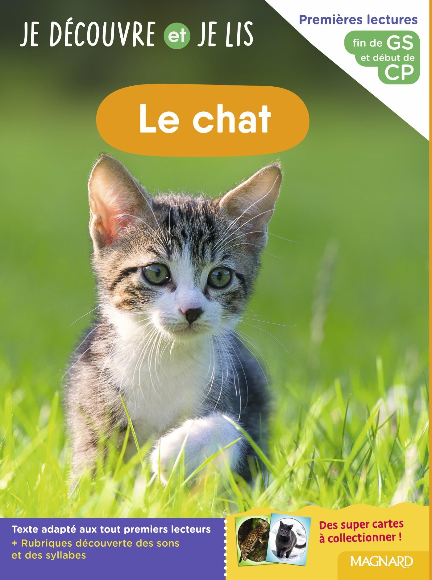 Le chat : premières lectures, fin de GS-début CP